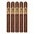 PACK OF 5