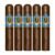 PACK OF 5