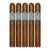 PACK OF 5