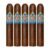 PACK OF 5