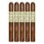 PACK OF 5