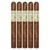PACK OF 5