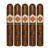 PACK OF 5