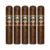 PACK OF 5