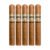 PACK OF 5