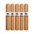 PACK OF 5