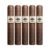 PACK OF 5