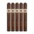 PACK OF 5