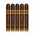 PACK OF 5