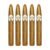 PACK OF 5