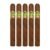 PACK OF 5