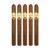 PACK OF 5