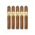 PACK OF 5