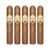 PACK OF 5