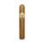 CIGAR