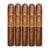 PACK OF 5