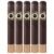 PACK OF 5
