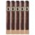 PACK OF 5