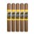 PACK OF 5