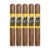 PACK OF 5