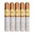 PACK OF 5