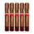 PACK OF 5