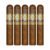 PACK OF 5