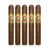 PACK OF 5