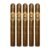 PACK OF 5