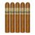 PACK OF 5