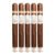 PACK OF 5