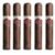 PACK OF 5