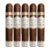 PACK OF 5