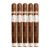 PACK OF 5