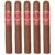 PACK OF 5