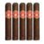PACK OF 5