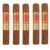 PACK OF 5