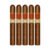 PACK OF 5