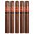 PACK OF 5
