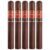PACK OF 5