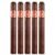 PACK OF 5