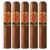 PACK OF 5
