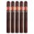 PACK OF 5