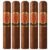 PACK OF 5