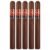 PACK OF 5