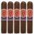 PACK OF 5