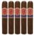 PACK OF 5