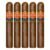 PACK OF 5