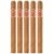 PACK OF 5