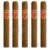 PACK OF 5